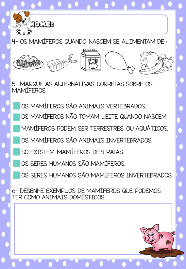 atividade de ciências mamíferos 